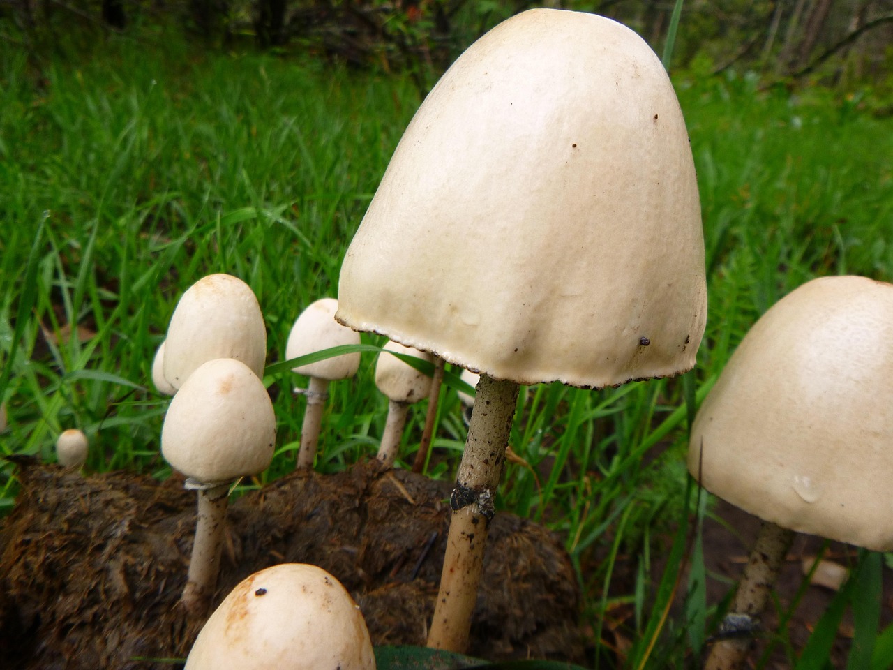 Camping sauvage en famille : réglementation et bons spots découvrez les secrets du wild camping : conseils, astuces et réglementation pour camper en pleine nature en toute sécurité et liberté. profitez d'une expérience authentique en dehors des sentiers battus.
