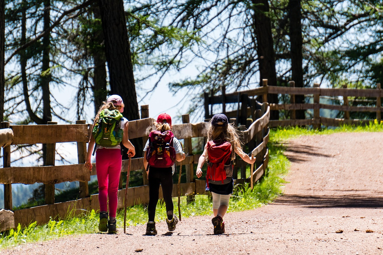 Parc National de Vanoise : randonner en famille sans stress découvrez tous nos conseils et itinéraires pour la randonnée : astuces, guides, équipements et destinations incontournables pour débutants et confirmés.