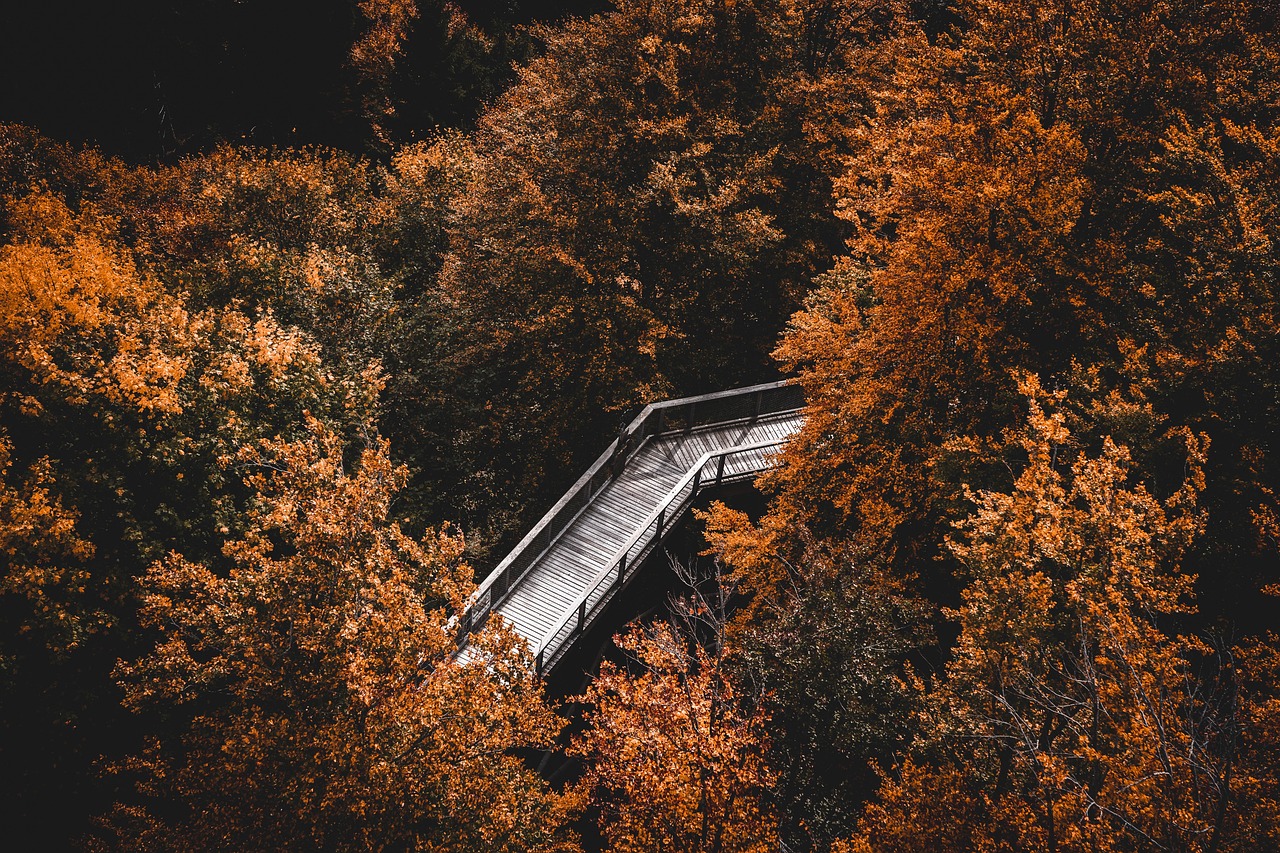 Randonnée dans les Alpes : 5 sentiers accessibles aux débutants découvrez les meilleures destinations de randonnée, conseils pratiques et équipements essentiels pour explorer la nature en toute sécurité et profiter pleinement de vos aventures en plein air.